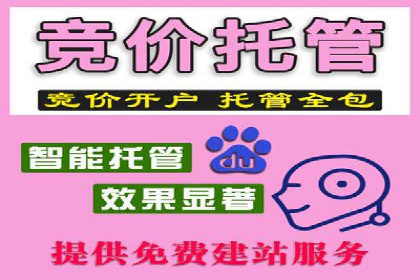 百度平台推广策略及成功案例解析